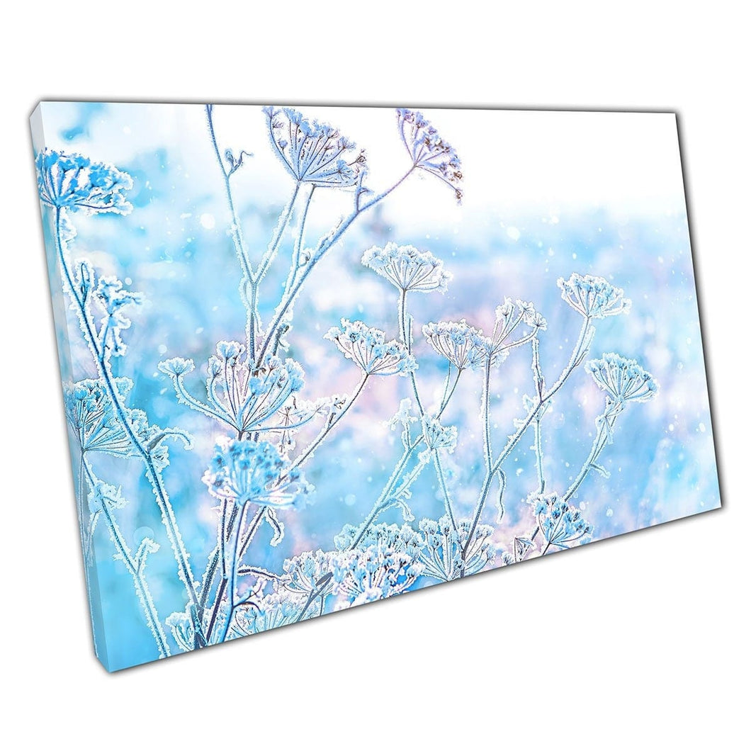Icy bevroren grasplant in de winterweide in het midden van een ochtend sneeuwstorm besneeuwde muurkunstafdruk op canvas gemonteerde canvas print