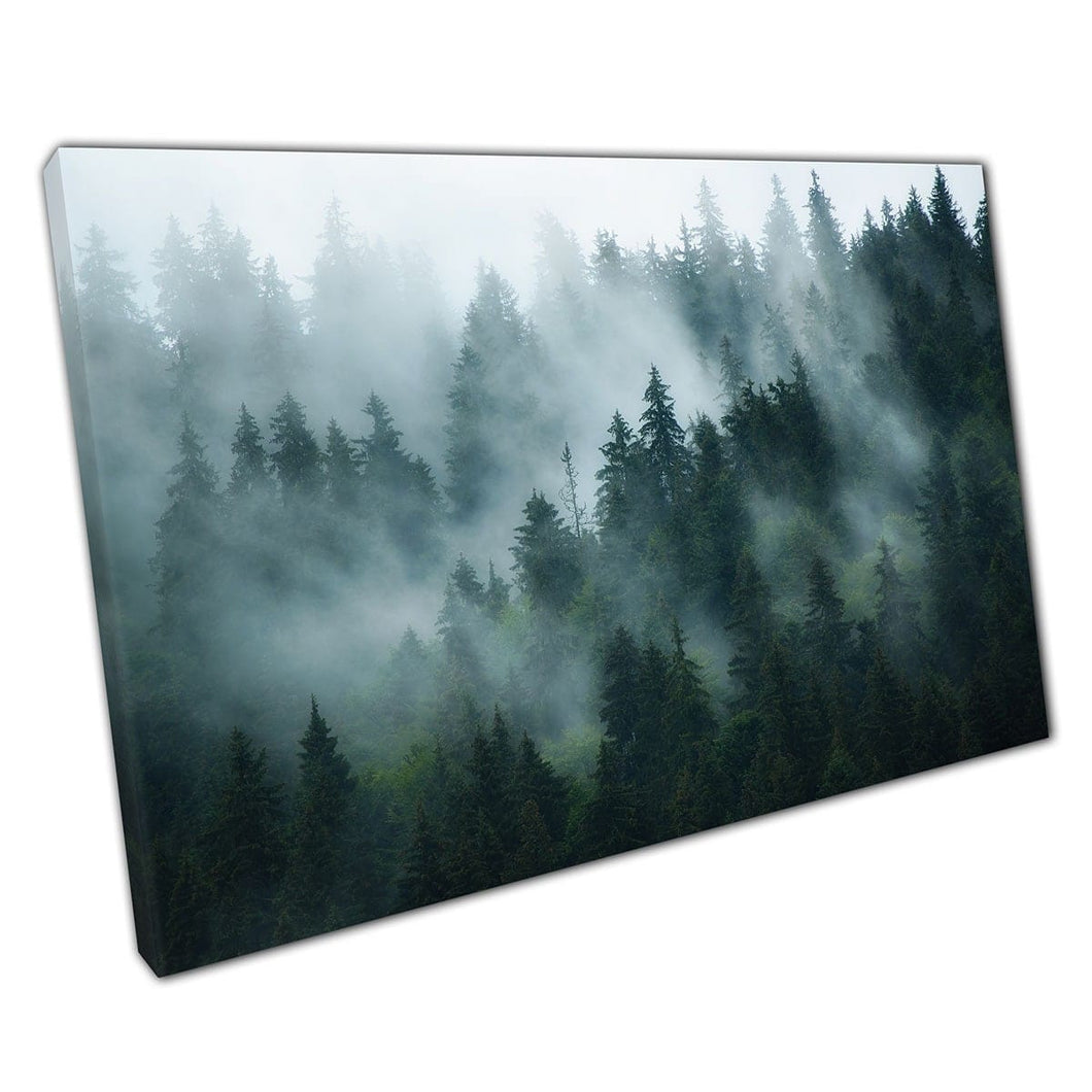 Mistige mistige bewolkte fir -boomstroombos Woodland Mysterieuze spookachtige natuurfotografie Wall Art Print op canvas gemonteerde canvas print