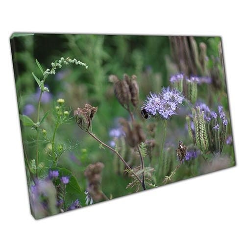 Afdrukken op canvas Wildflower Meadow en Bee Wall Art Print Mounted Canvas Print