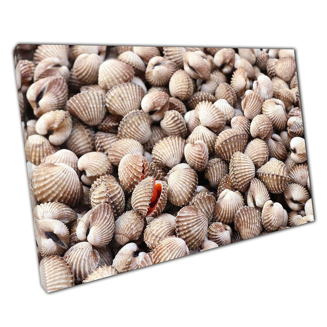 Verzameling van smakelijke zeevruchten kokkels schelpen op een straatvoedselmarkt SEAL Life Wall Art Print op canvas gemonteerde canvas print