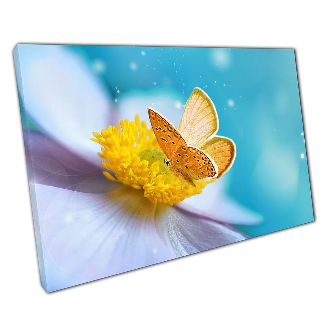 Felle zonneschijn gele vlinder die een open bloem bezoekt op een zomers dag insectenwand kunstprint op canvas gemonteerde canvas print