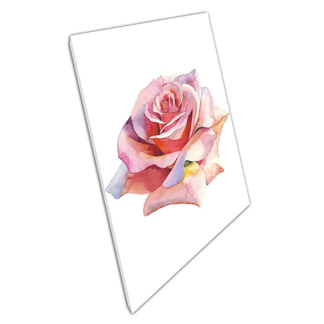 Gedetailleerde zachtroze lente Rose Botanical Flower Painting Floral Illustration Wall Art Print op canvas gemonteerde canvas print