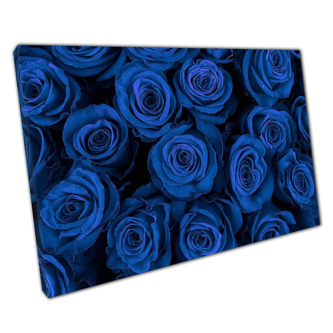 Stunning Rich Deep Blue Roses Floral Display Background Photography Wall Art Print On Canvas Mounted Canvas print