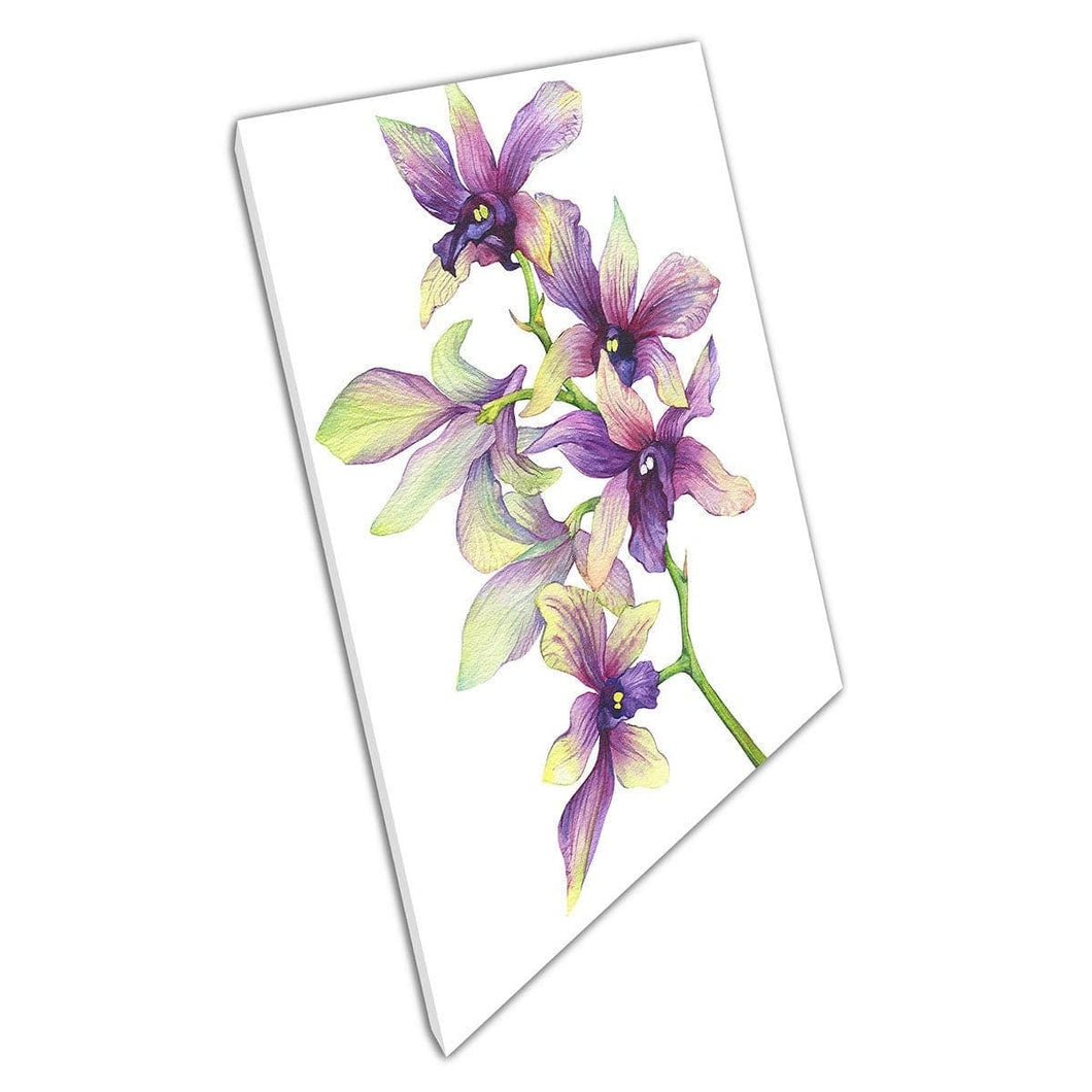 Beautiful Delicate Exotic Purple Green Blossoming Orchid Flower Floral Watercolour Wall Art Print On Canvas Mounted Canvas print