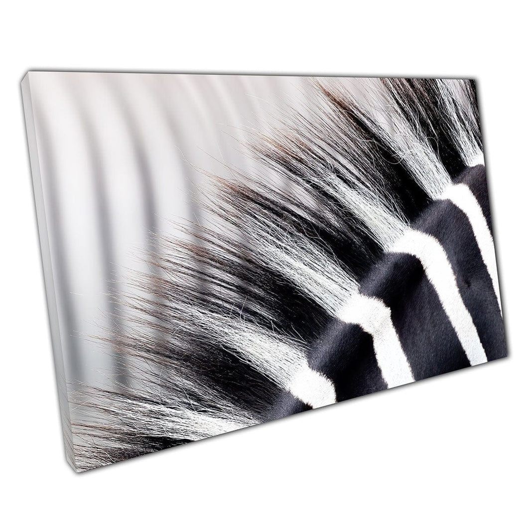 Amazing Contrasting Black And White Zebra Striped Mane Abstract Animal Photography Wall Art Print On Canvas Mounted Canvas print