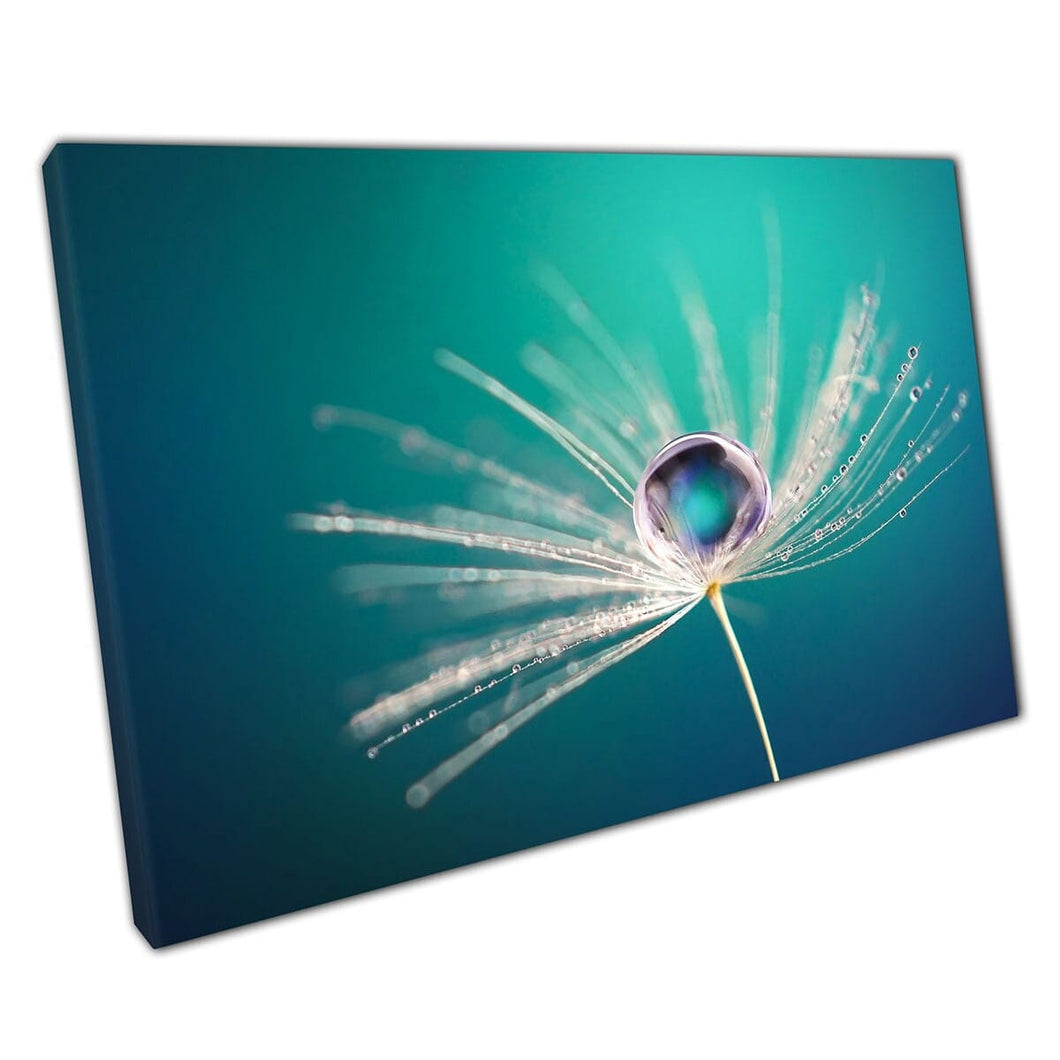 Verbluffende kleine water dauwdruppeltjes op paardenbloembloemzaad macro natuurfotografie muurkunst print op canvas gemonteerde canvas print