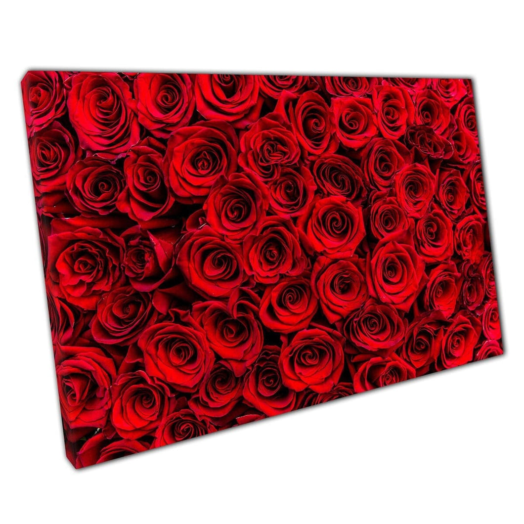 Beautiful Fresh Deep Vibrant Red Rose Flowers Romantic Valentine Floral Photography Wall Art Print On Canvas Mounted Canvas print