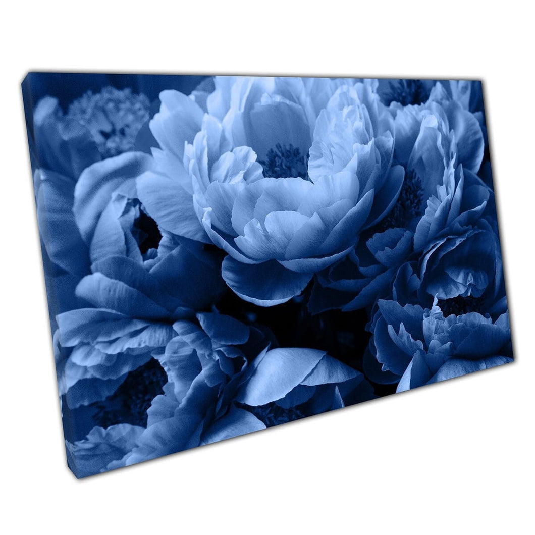 Mooie stormachtige schemerige blauw afgestemde pieter rozenbloemen delicate bloemenfotografie muurkunst print op canvas gemonteerde canvas print