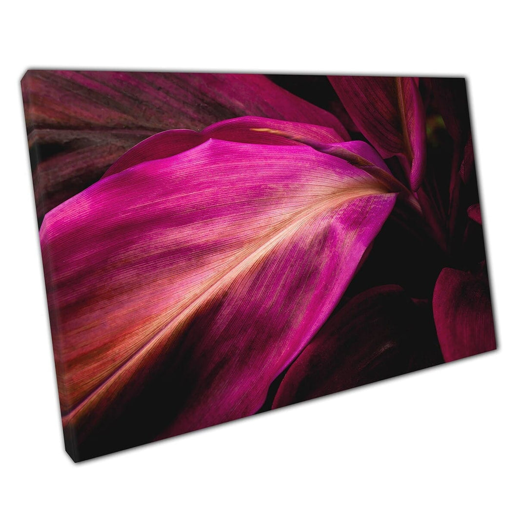 Dieproze paarse abstract uitzicht op exotische tropische levendige bladeren natuurfotografie muurkunst print op canvas gemonteerde canvas print