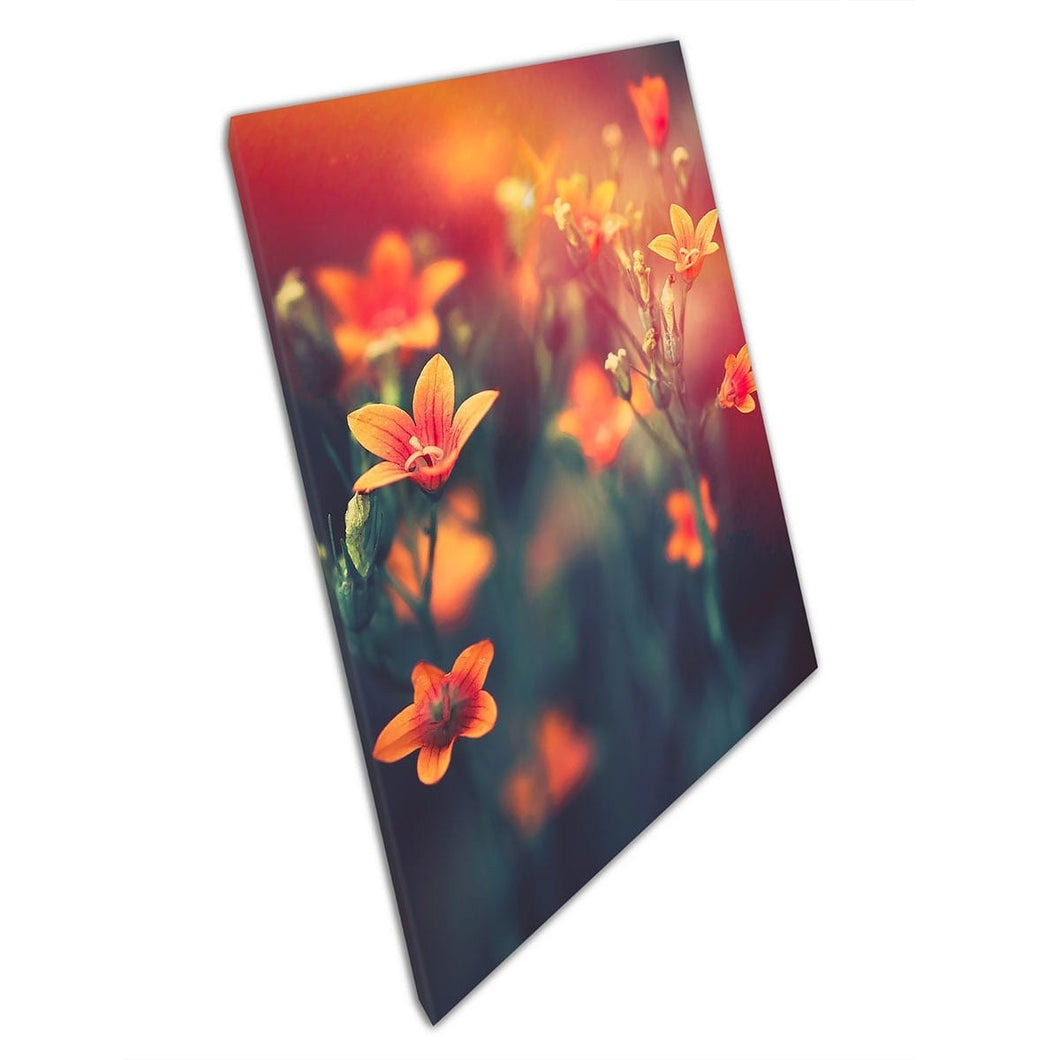 Beautiful Orange Red Bell Flowers In Close Up Macro View Gentle Delicate Photography Wall Art Print On Canvas Mounted Canvas print