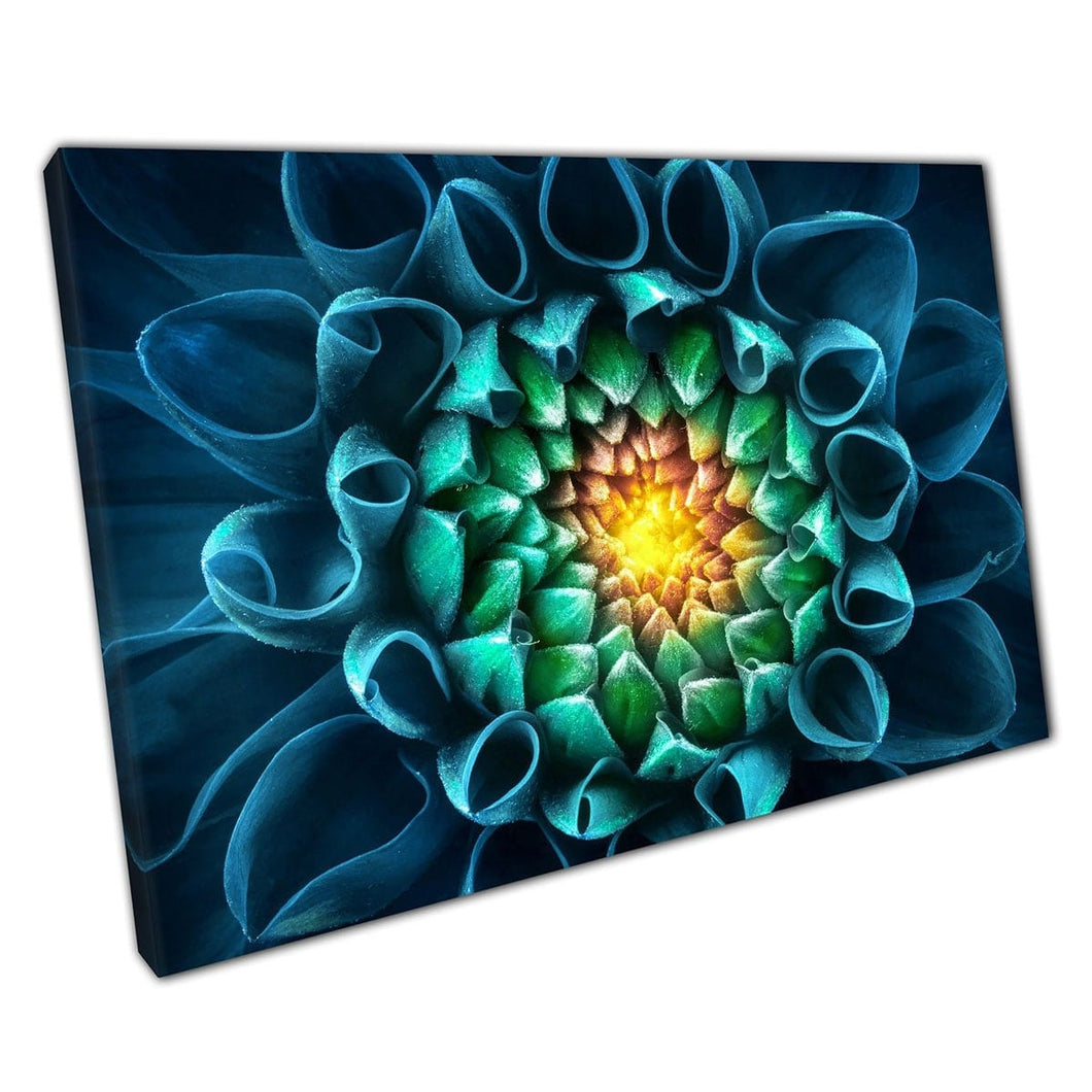 Vivid Abstract Nature Photography Succulento Flower Flower Spring Summer Stampa artistica da parete colorata su tela di tela montata