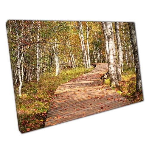 Afdrukken op canvas herfstwandeling door Zwitserland muur kunstprint gemonteerd canvas print