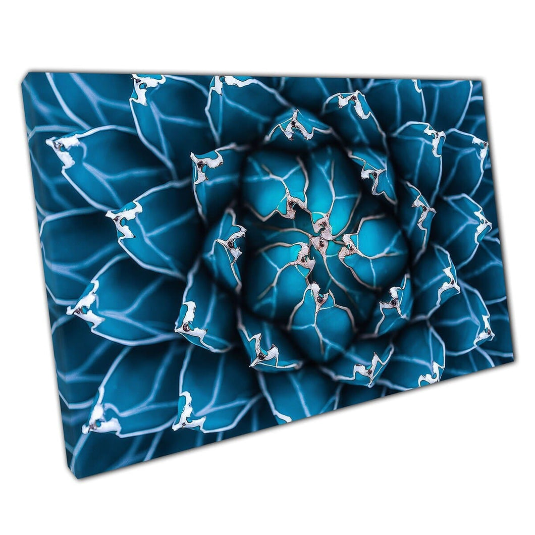 Donkerblauw afgestemde agave cactus plant natuurlijk abstract patroon muur kunst print op canvas gemonteerde canvas print