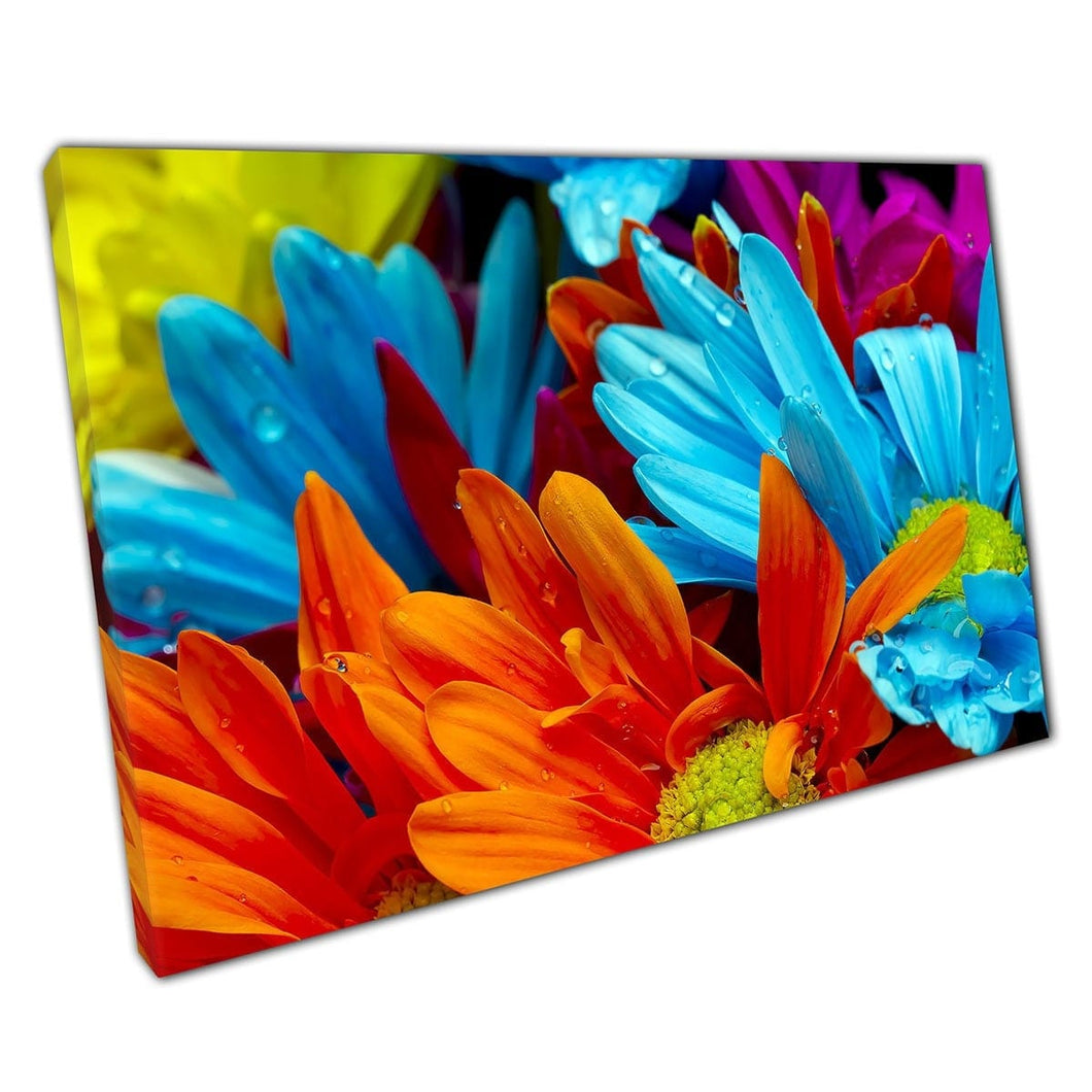 Verbluffende levendige multi -gekleurde bloemen met waterdruppeltjes natuurfotografie Wall Art Print op canvas gemonteerde canvas print