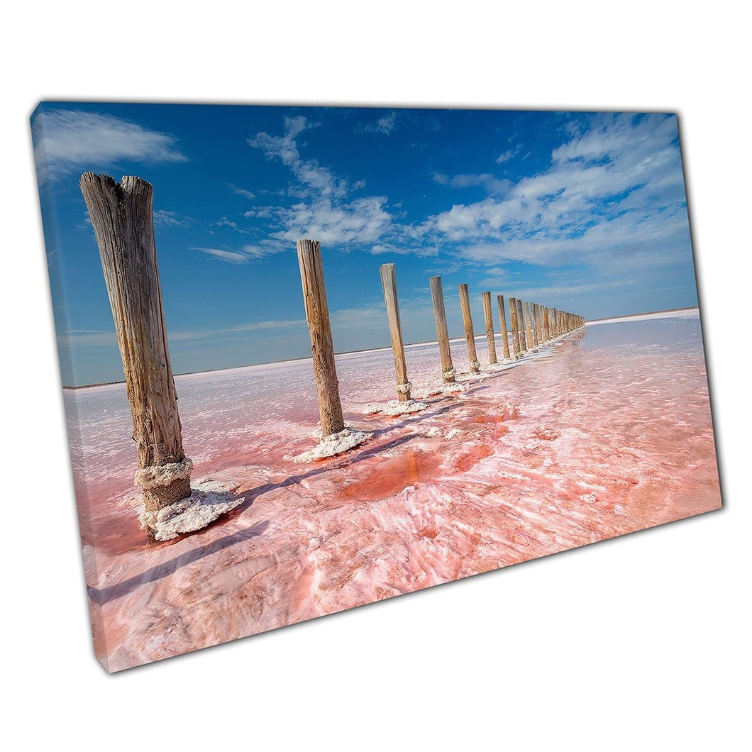 Pink Salt Lake e Blue Skies in Ucraina Wall Art Stampa su tela di tela stampata