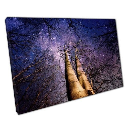 Stampa sulla vista di tela di Galaxy Sky from Woodland Floor Wall Art Stampa di tela montata