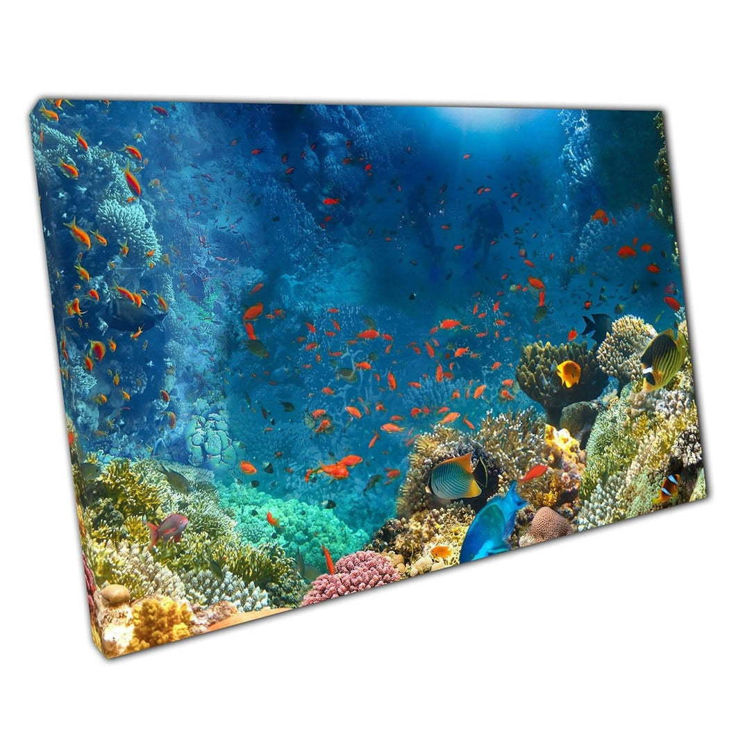 Lively Tropical Exotic Fish Filled Deep Blue Coral Reef Ocean Sea Life Photography Wall Art Print On Canvas Mounted Canvas print