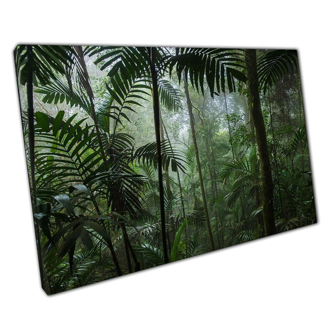 Diep in een vochtige levendige groene warme tropische jungle -boomplant Life Exotic Nature Nature Wall Art Print op canvas gemonteerde canvas print