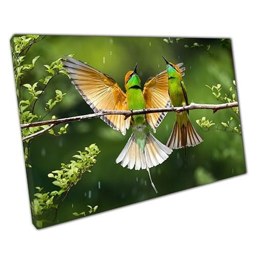 Afdrukken op canvas bijeneter vogels in de wilde klaar om muurwand te hangen afdrukken gemonteerde canvas print