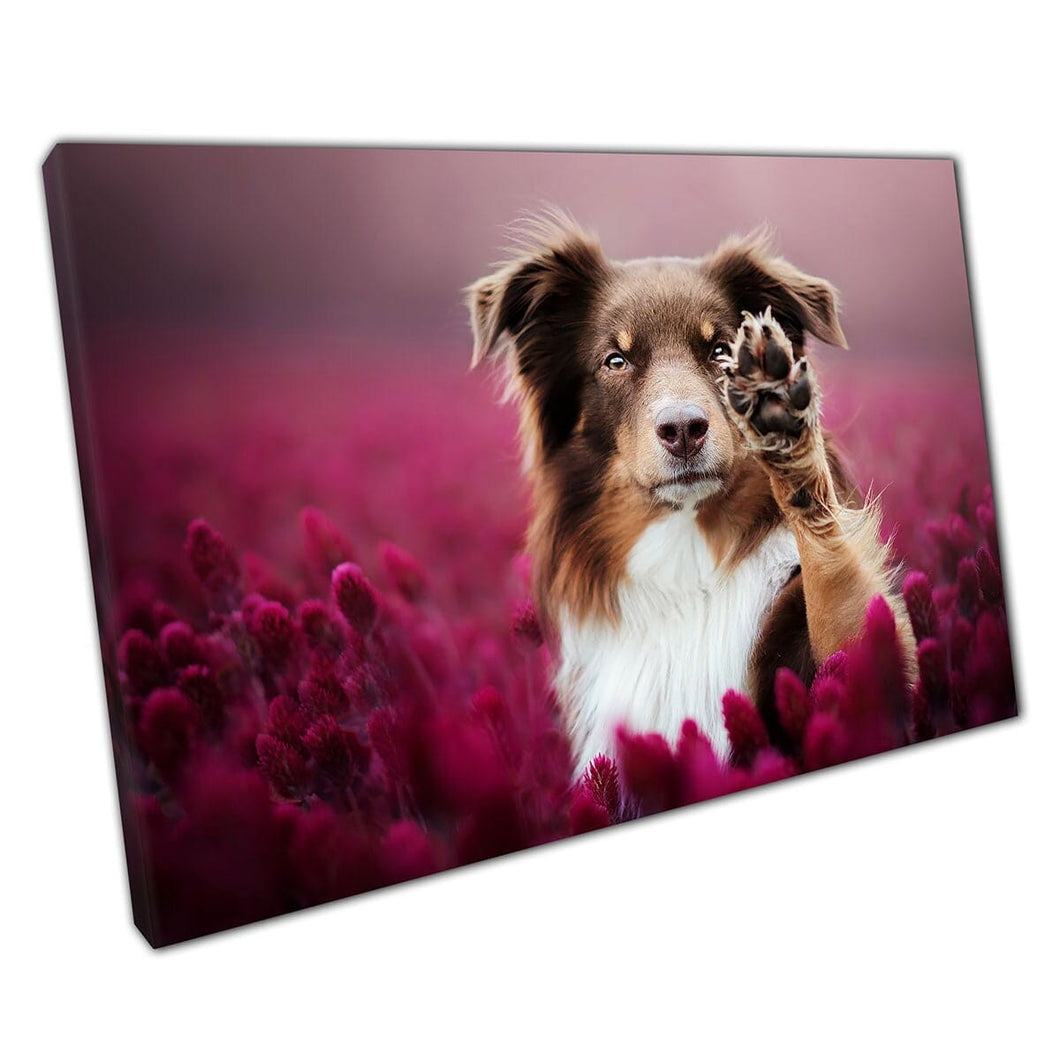 Australian Shepherd Raising Paw In Field Of Red Pink Flowers Wall Art Print On Canvas Mounted Canvas print