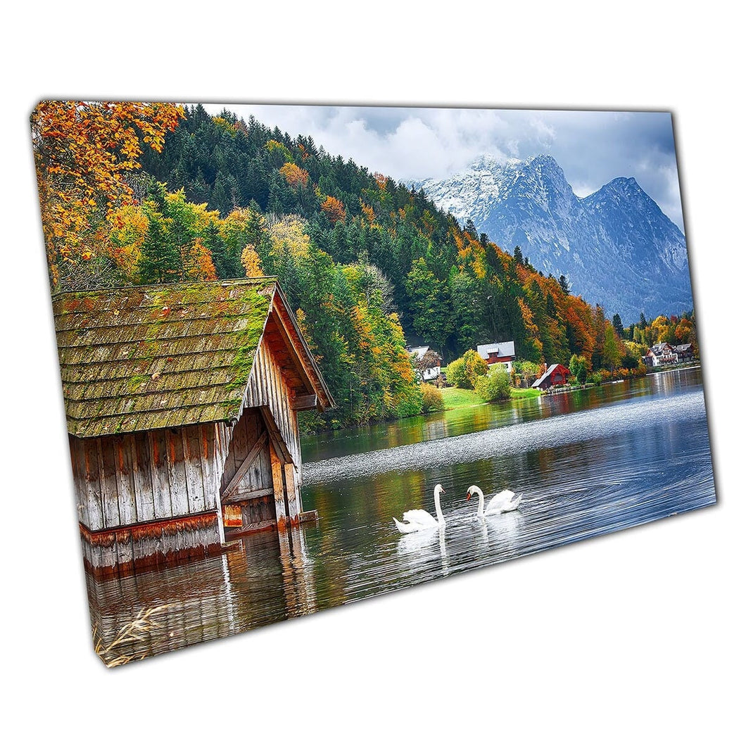 Two Swans On Grundlsee Lake Liezan District Of Styria Austria Europe Wall Art Print On Canvas Mounted Canvas print