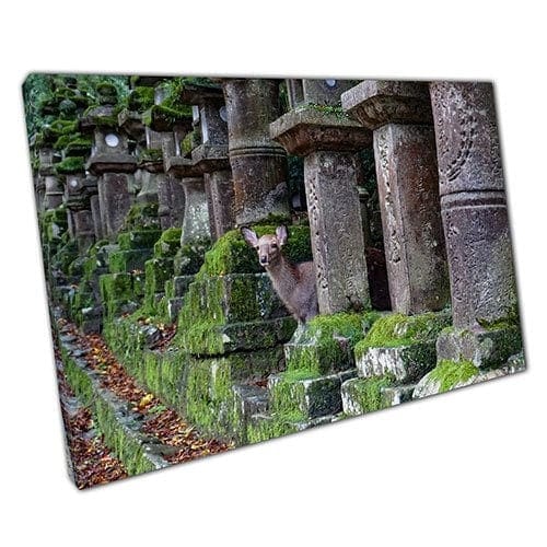 Afdrukken op canvas hert in tempel nara city Japan klaar om muurwand te hangen print gemonteerd canvas print