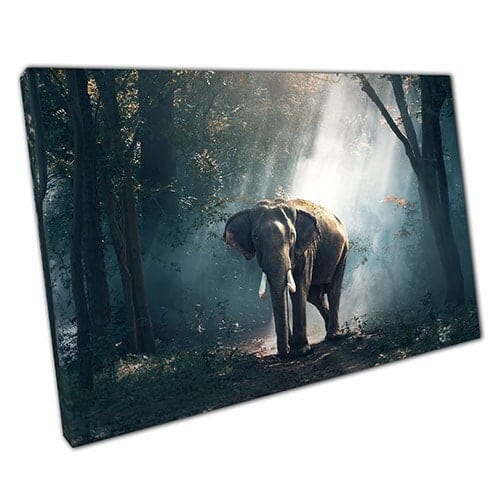 Print on Canvas Forest Elephant Ready to Hang Wall Art Print Mounted Canvas print