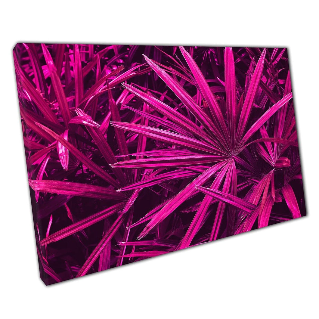 Tropical Exotic Purple Magenta a punta foglie insolite Nature Vibrant Wall Art Stampa su tela Stampa di tela montata