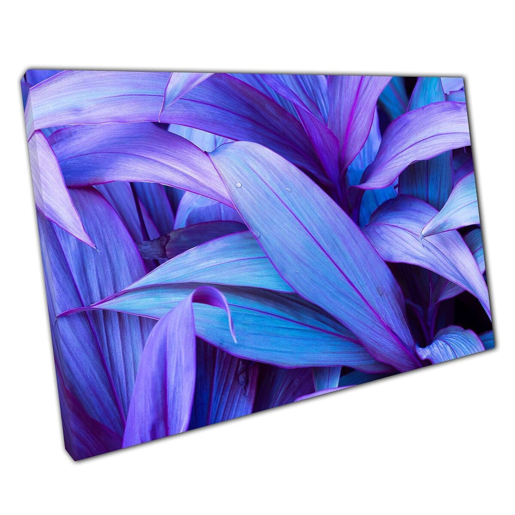 Verschillende tinten violet paars en blauwe tropische exotische jungle bladeren gebladerte kunst aan de muur op canvas gemonteerde canvas print