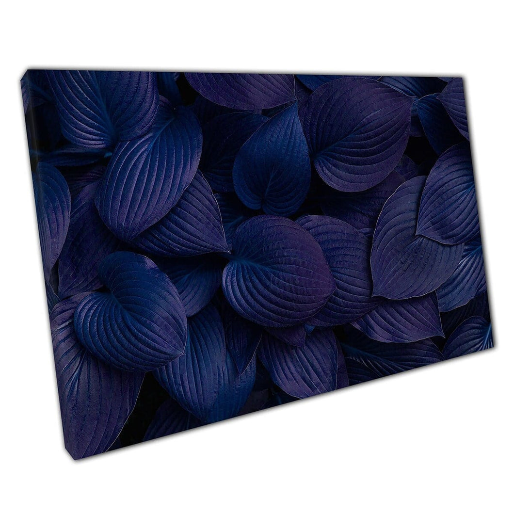 Diepblauwe paars gekleurde hosta plant botanische bladeren muur kunstprint op canvas gemonteerde canvas print