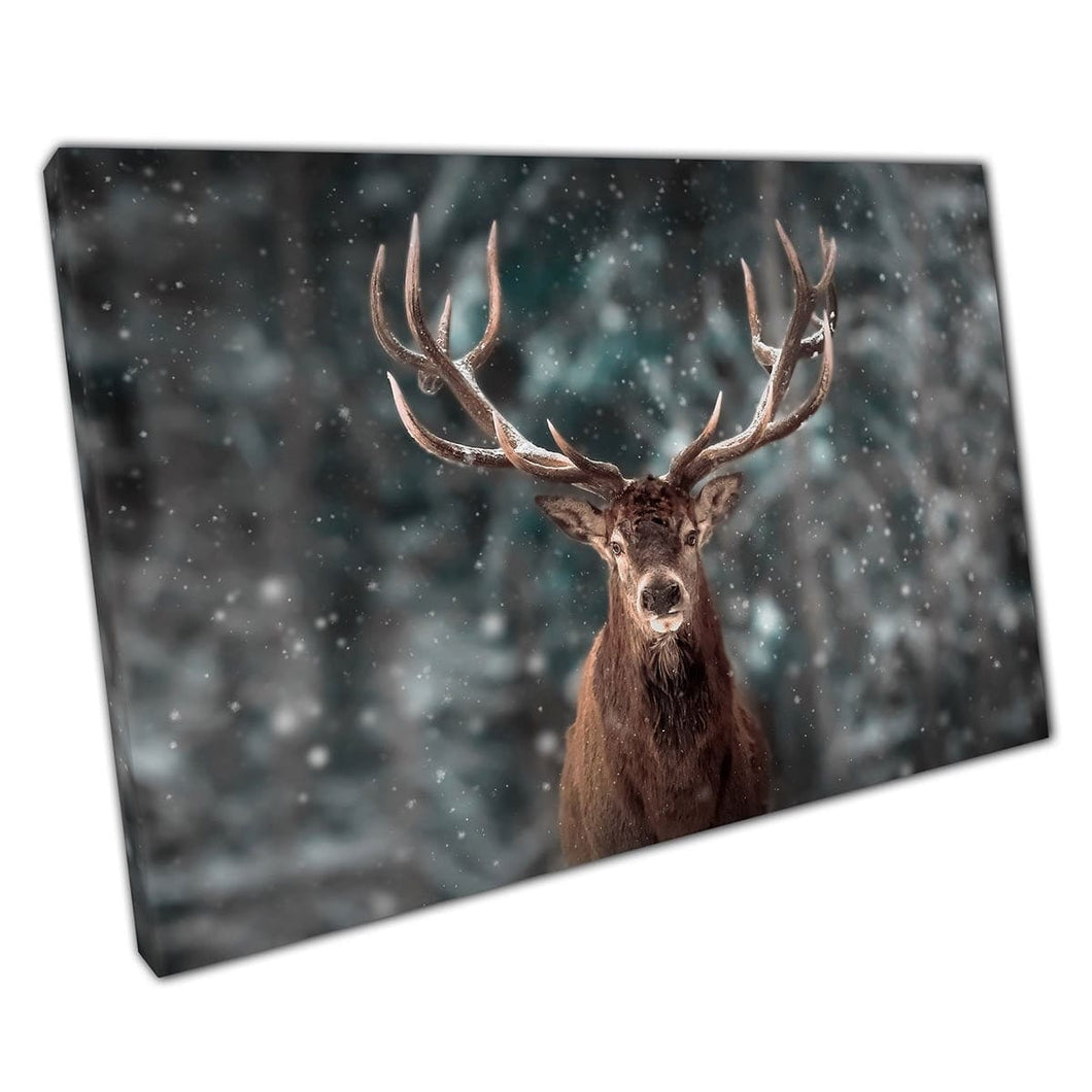 Forte cervo maschio cervo con grandi corna in una stampa invernale in neve boschi di arte da parete animale su tela stampare in tela montata