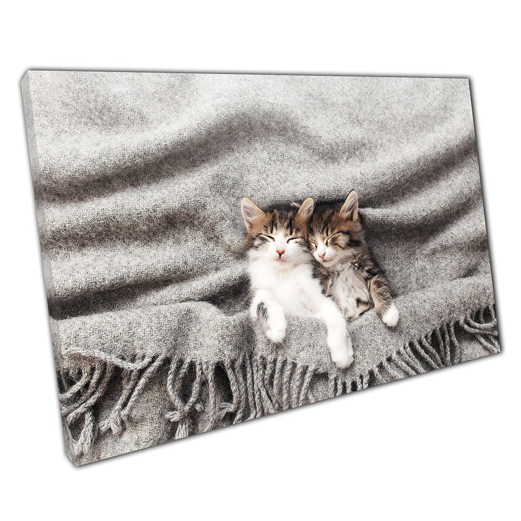 Twee schattige donzige kittens nestelen zich tegen elkaar onder een knuffelige dekendierfotografie Wall Art Print op canvas gemonteerde canvas print