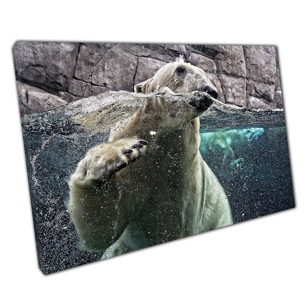 Nieuwsgierige ijsbeer die rondzweekt door het verkennen van de dierentuinomheining Wild Life Photography Wall Art Print op canvas gemonteerde canvas print