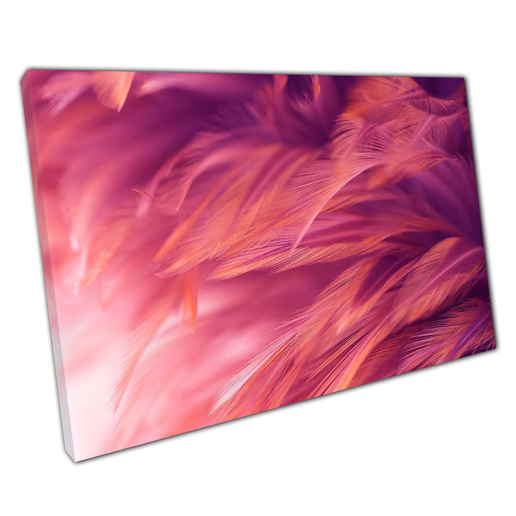 Abstract View Soft Pastel Coral Pink Toned Feathers Close Up Detailed Nature Wall Art Print On Canvas Mounted Canvas print