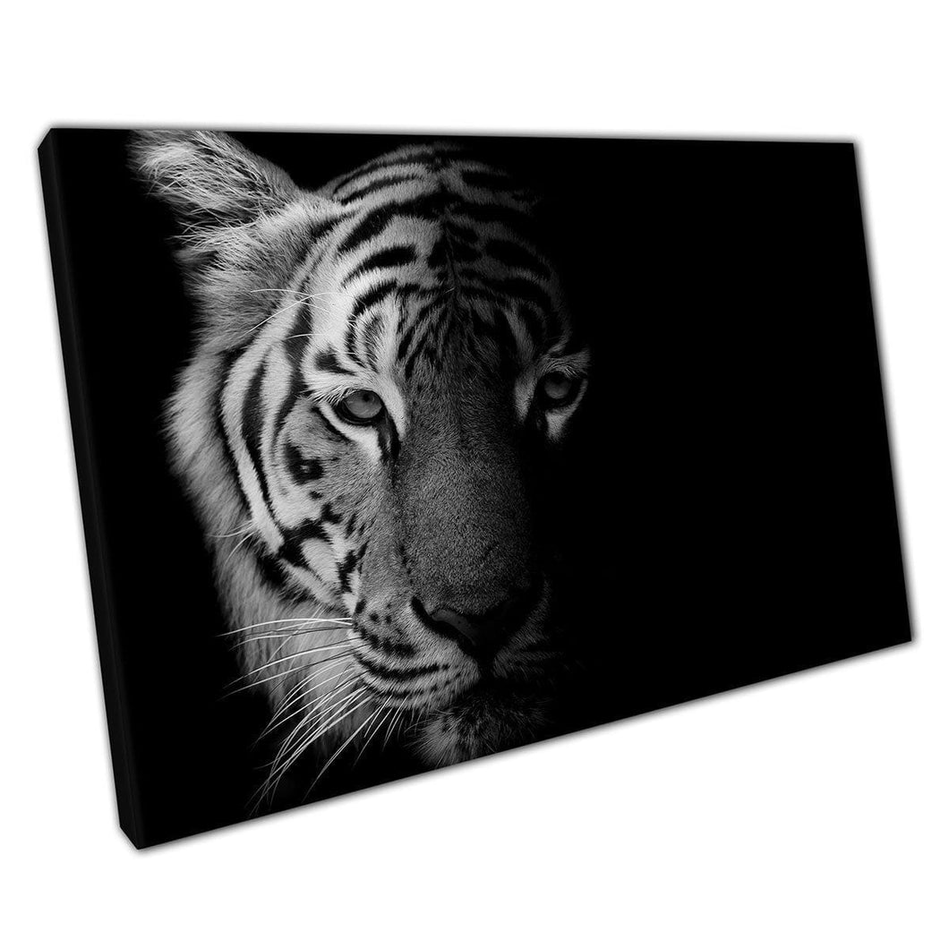 Stunning Intense Tiger Face Detailed Black And White Big Cat Wild Animal Photography Wall Art Print On Canvas Mounted Canvas print