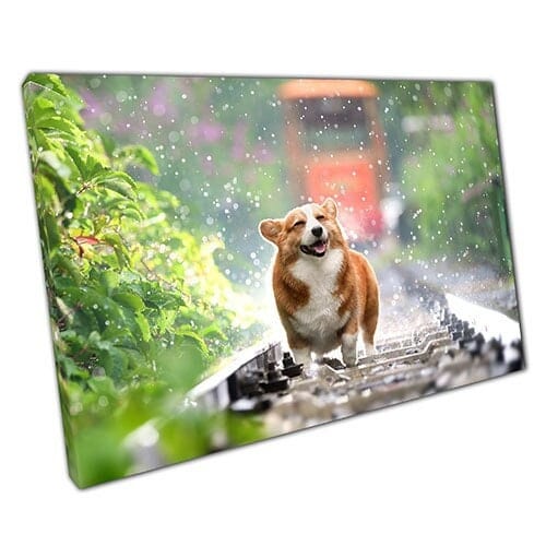 Afdrukken op canvas corgi -hond die de regen omhelst die klaar is om muurwand te hangen, gemonteerde canvas print