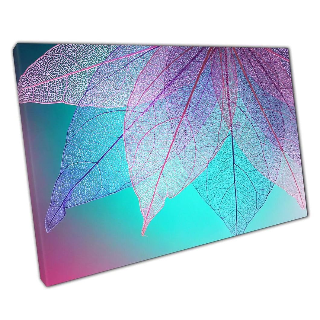 Macro doorzichtig skelet laat turquoise magenta mooie artistieke abstracte muurkunstafdruk op canvas gemonteerde canvas print