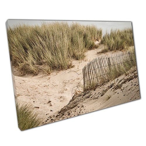 Print on Canvas Windy Beach, Hill of Sand and Plants Ready to Hang Wall Art Print Mounted Canvas print