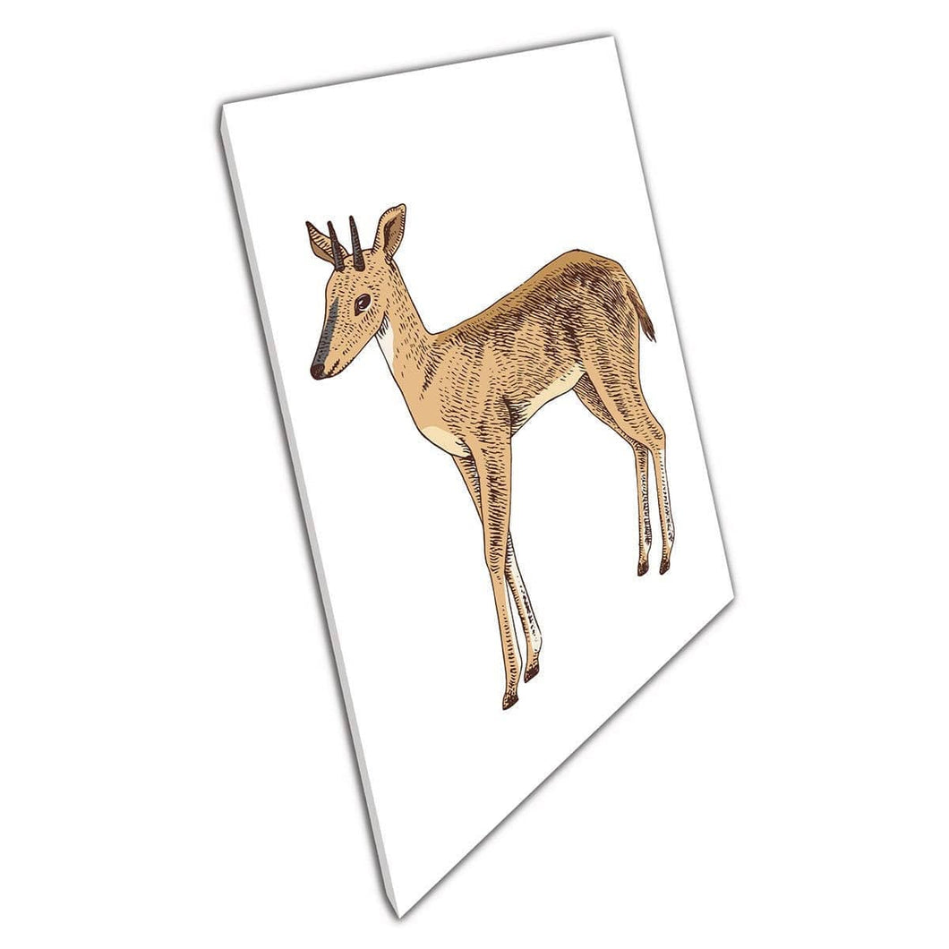 Kleine Duiker Afrikaanse Antelope Delicate Wildlife Illustration Wall Art Print op canvas gemonteerde canvas print