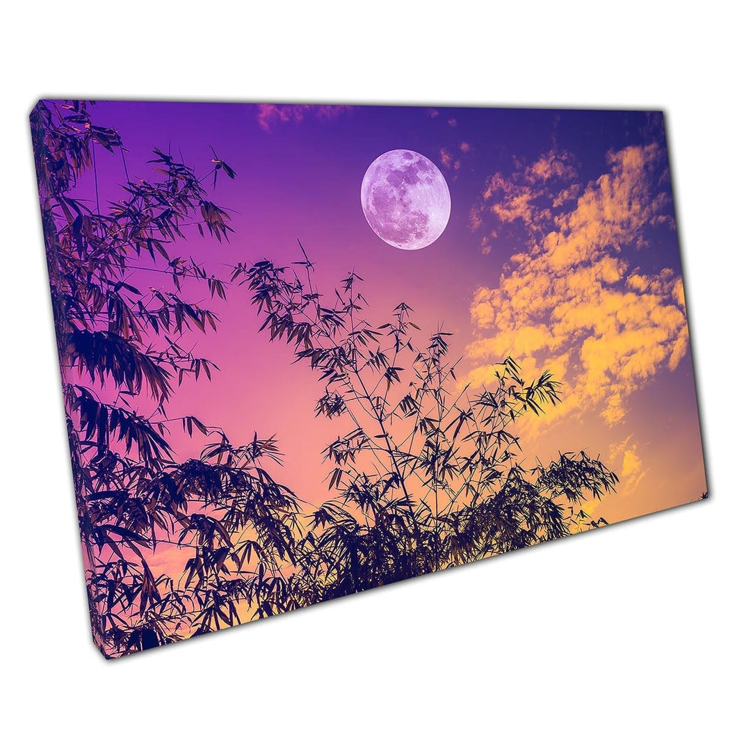 Warm kleurrijke serene hemel bij schemering volle maan tall bamboe gebladerte fotografie muur kunst print op canvas gemonteerde canvas print