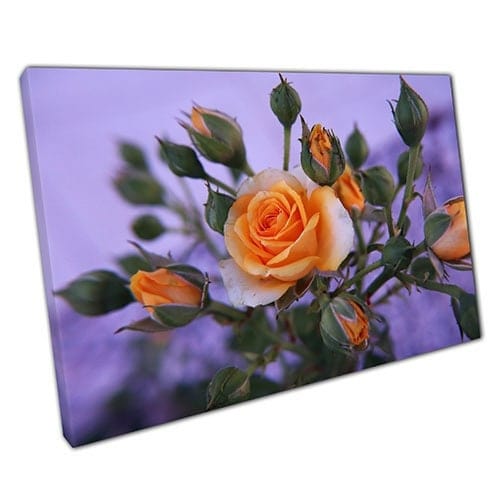 Print on Canvas Peachy Orange Rose Flower Bouquet Wall Art Print Mounted Canvas print
