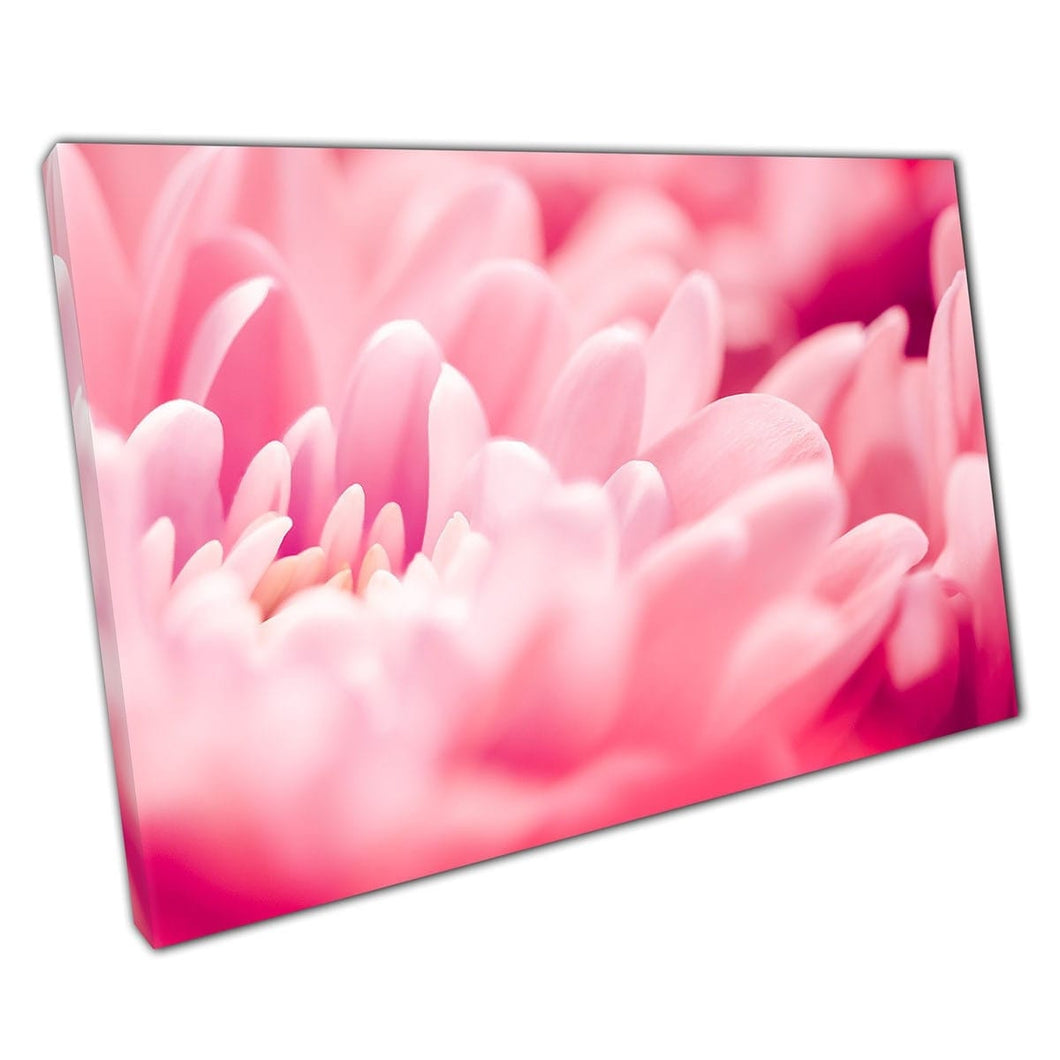 Mooie lente bloeiende bloemen delicate pastel roze zachte boeket bloem bloemblaadjes muur kunst print op canvas gemonteerde canvas print