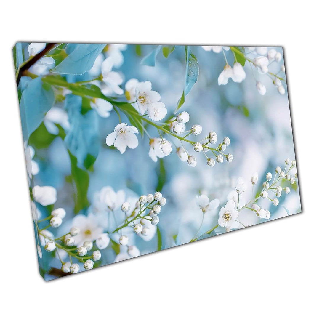 Witte kersenbloesems bloeien in de lente zachte focus fotografie Wall Art Print op canvas gemonteerde canvas print