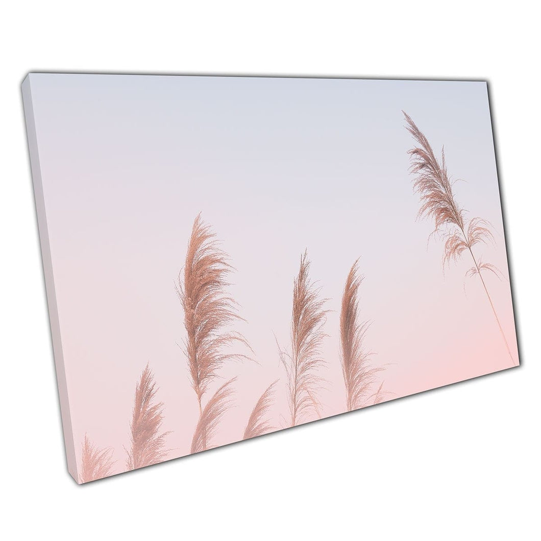 Tall Reeds Of Fluffy Grass On An Early Misty Morning Minimal Zen Photography Nature Wall Art Print On Canvas Mounted Canvas print
