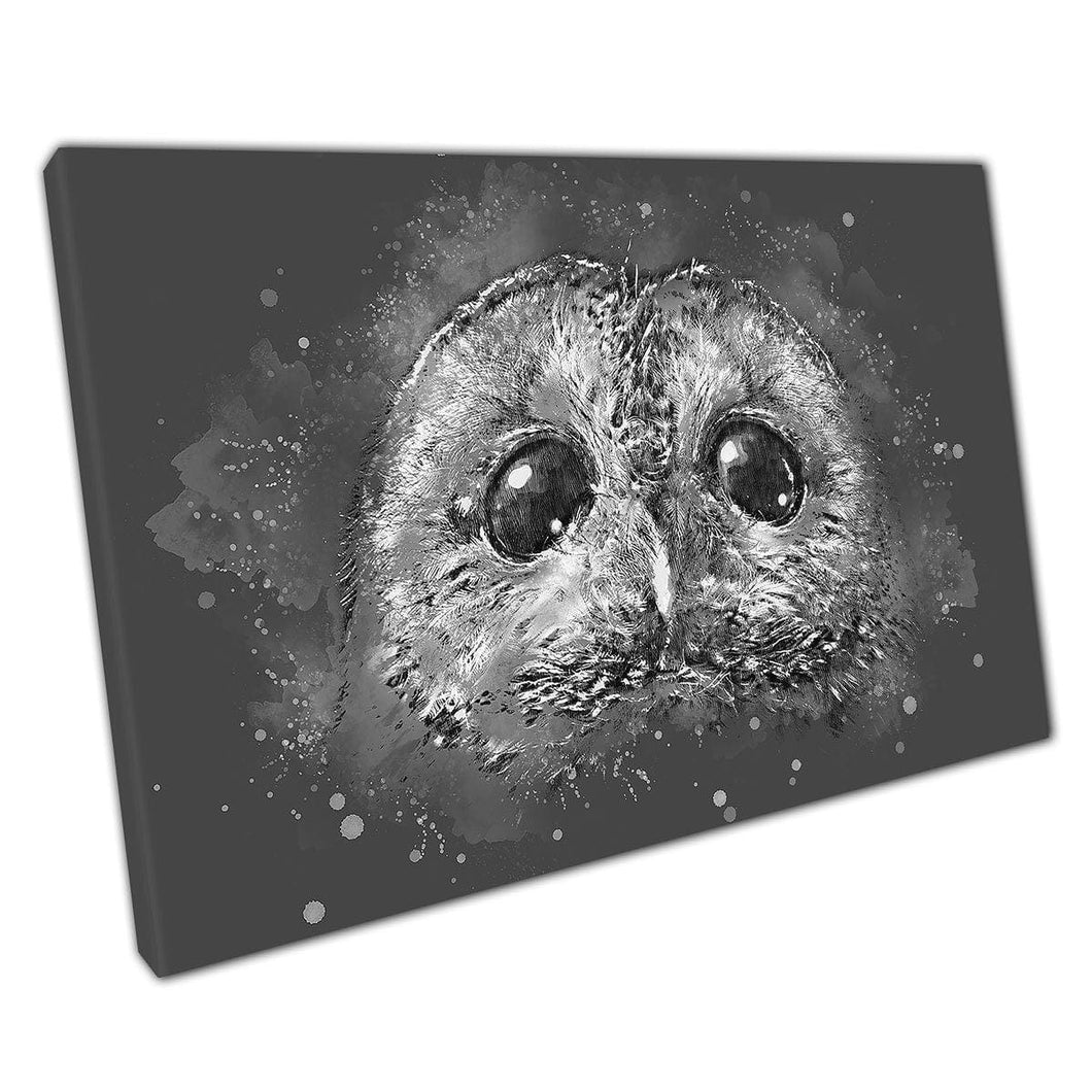 Grijze en witte schattige aquarel gedetailleerde uil met grote ogen muurkunstafdruk op canvas gemonteerde canvas print