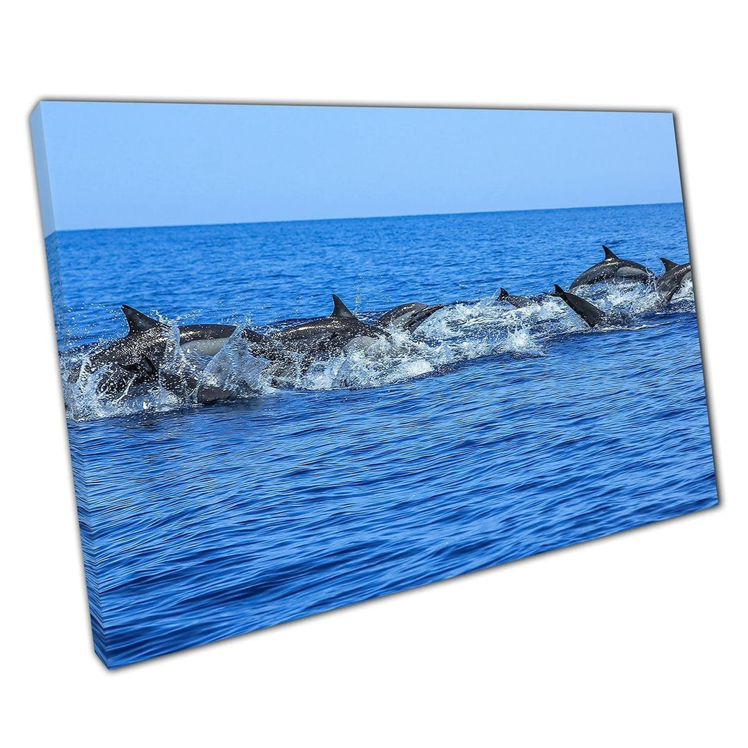 Groep van energetische dolfijnen zwemmen en springen voor de kust van Isla Espiritu Wall Art Print op canvas gemonteerde canvas print