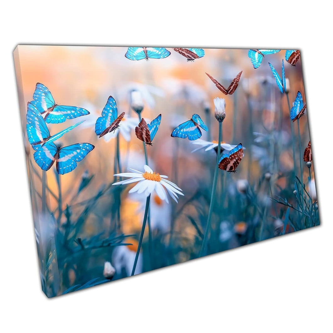 Soft Springtime Daisy Meadow Filled With Dreamy Blue Butterflies Wall Art Print On Canvas Mounted Canvas print