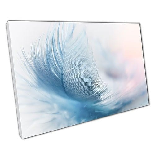 Print on Canvas FEATHER Ready to Hang Wall Art Print Mounted Canvas print