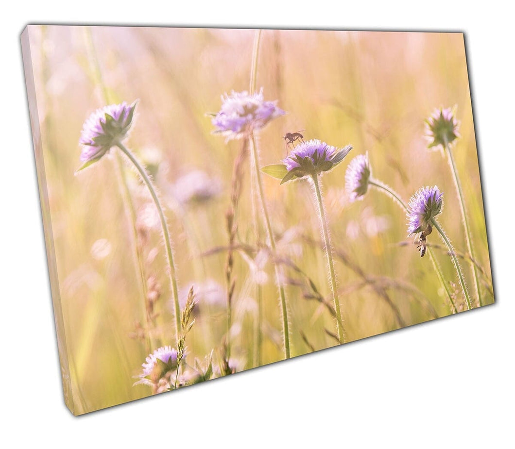 Canvas print wilde weide bloemen muurkunst klaar om afdrukken canvas afdrukken te hangen