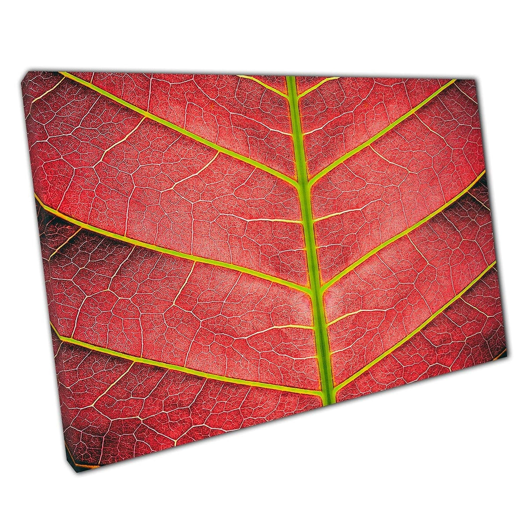 Rood groene textureerde macro bladdetail muurkunst print op canvas gemonteerde canvas print